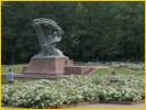 Chopin Under Weeping Willow Tree